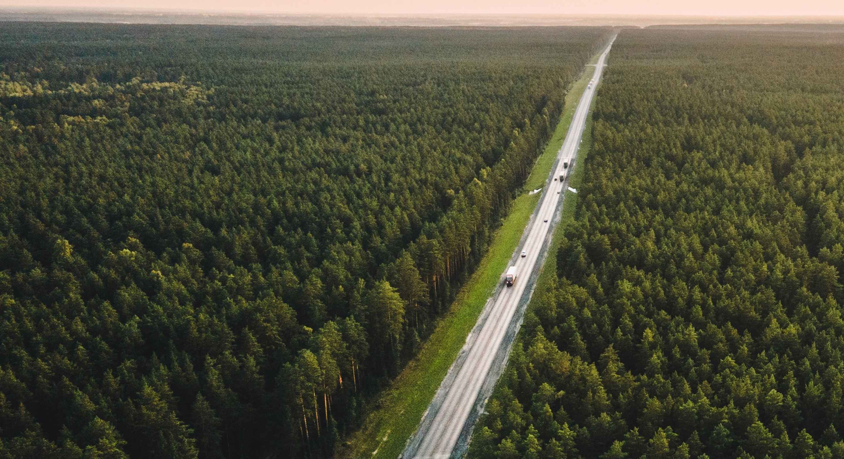 Trees and Road - Hero