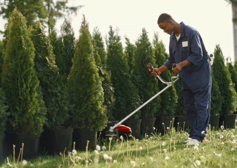 landscaping professional working in the site