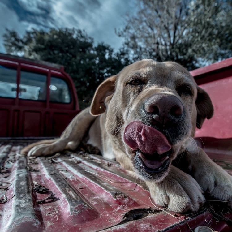 real people not bots serviceforge